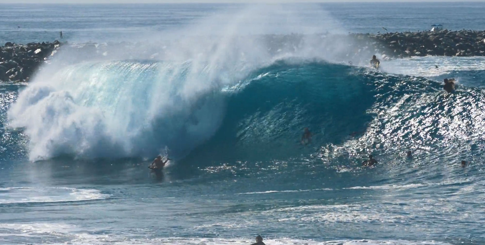 Labor Day Pacific Grade Carnage at the Wedge
