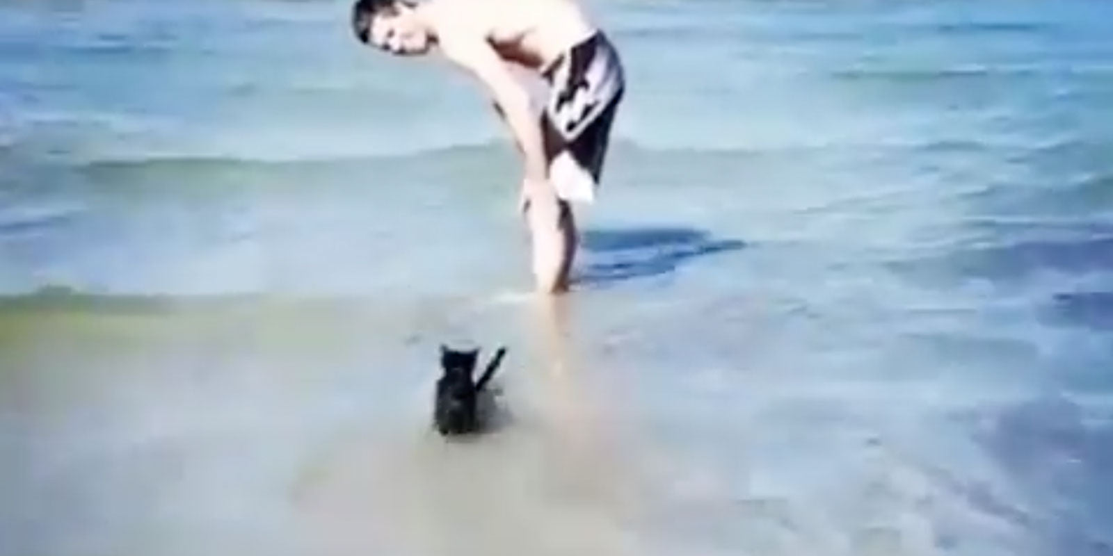 Bodysurfing Black Cat Is Creating Some Viral Barrels on Facebook