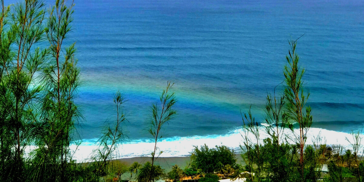 Slyde into the North Shore of Hawaii: Surf Travel Oahu Spring